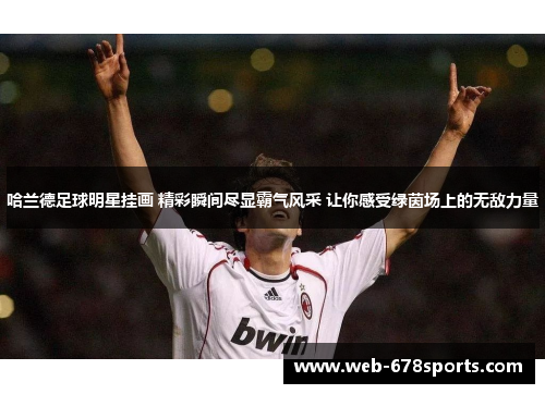 哈兰德足球明星挂画 精彩瞬间尽显霸气风采 让你感受绿茵场上的无敌力量