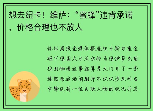 想去纽卡！维萨：“蜜蜂”违背承诺，价格合理也不放人